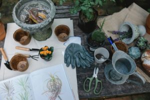 March Gardening