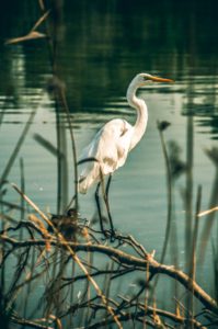 things to do in northeast florida