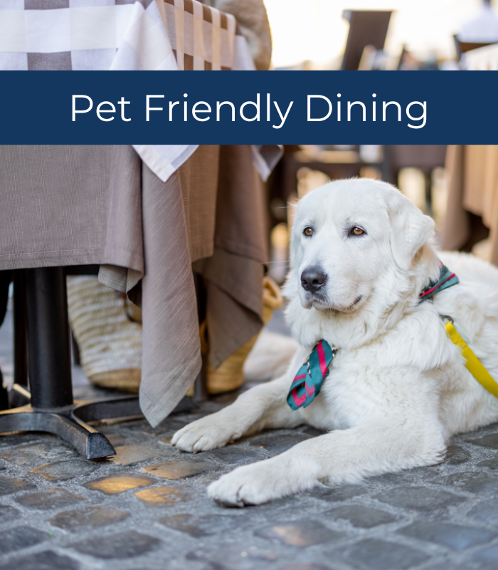 Dog Friendly Restaurants in Fernandina Beach