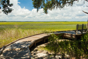 Fernandina Beach Things To Do