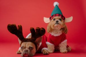 Things to do in Northeast Florida November 23