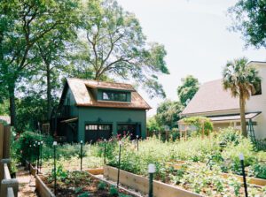 The Heirloom Yard