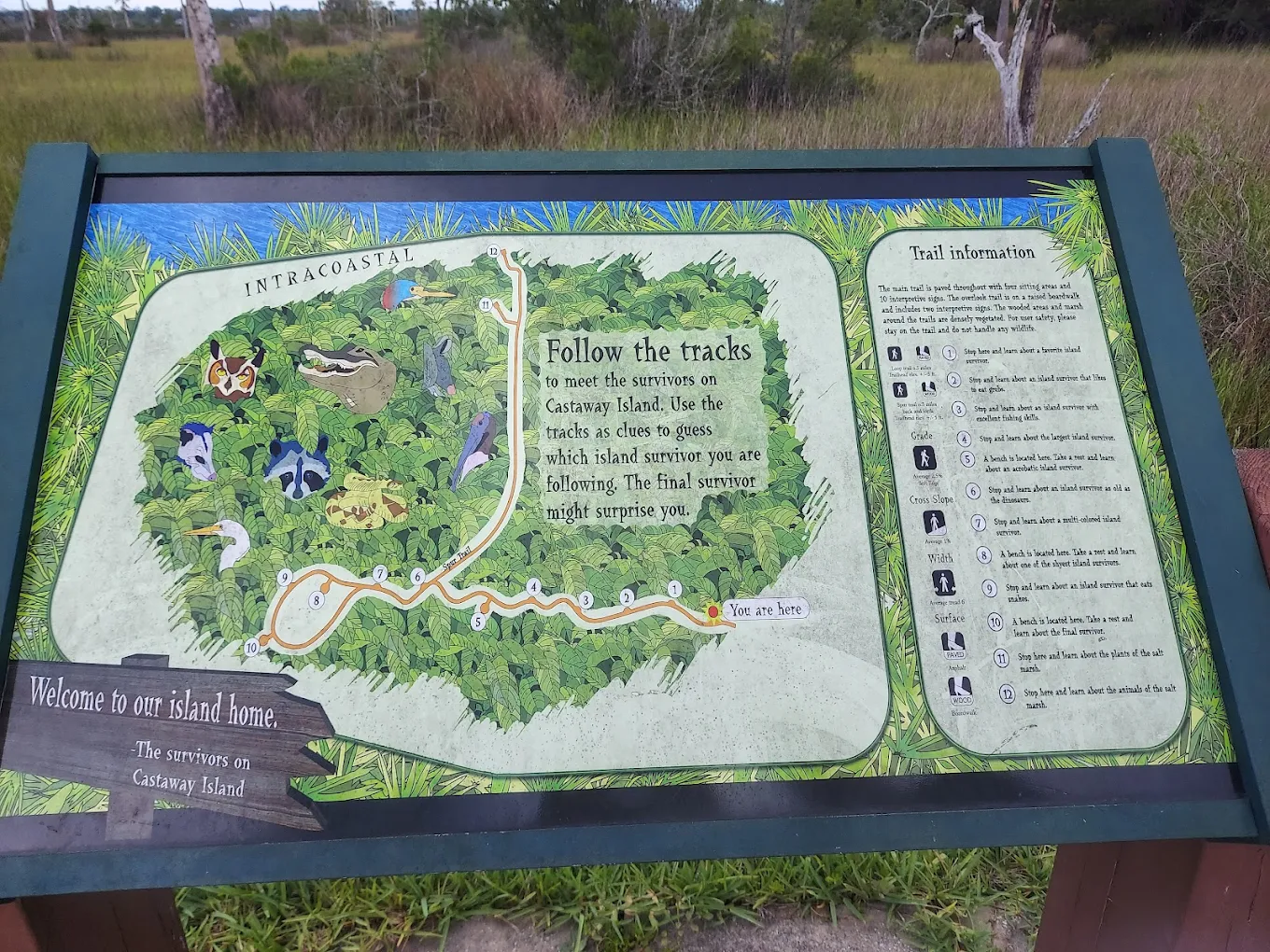 Castaway Island Preserve another Jacksonville Park filled with walking trails, nature and adventure