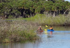 Clear kayaks floating at sunset on calm waters in Northeast Florida with dolphins swimming nearby.