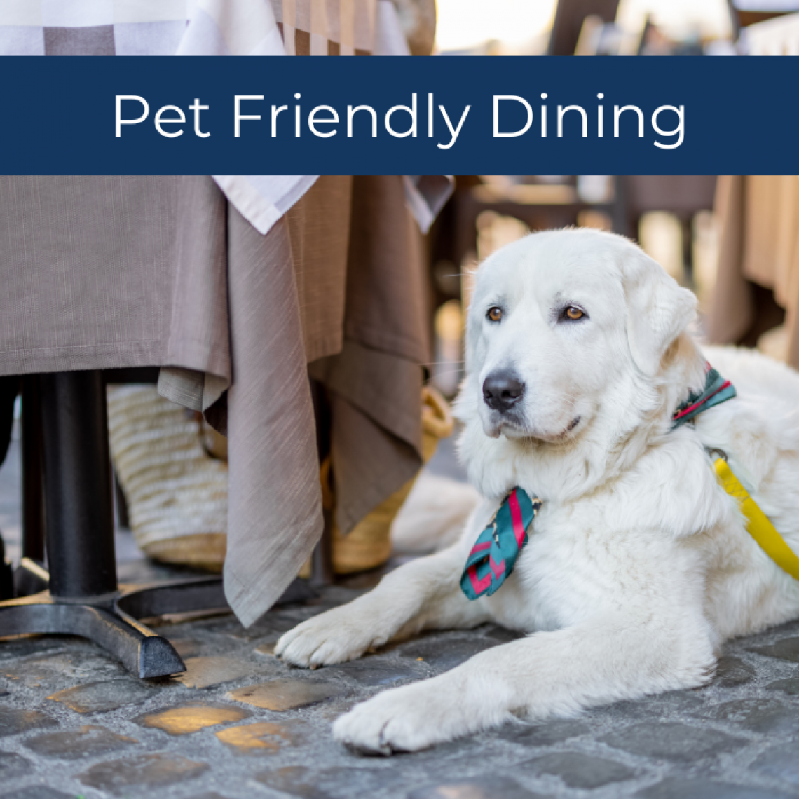 Dog Friendly Restaurants in Fernandina Beach