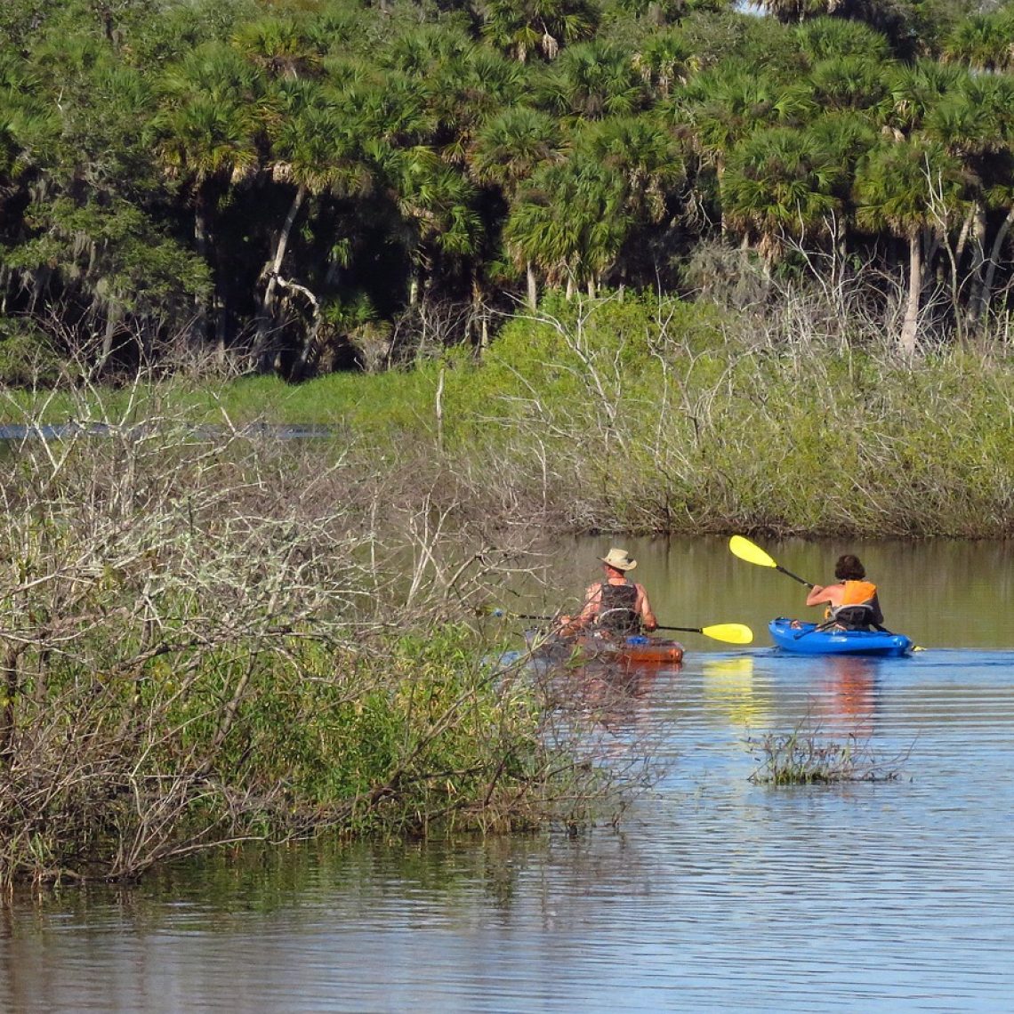 Clear kayaks floating at sunset on calm waters in Northeast Florida with dolphins swimming nearby.